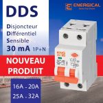 Disjoncteur Différentielle DPE1